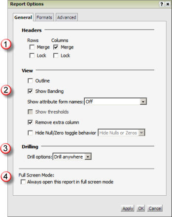 ReportOptions_GeneralTab.png